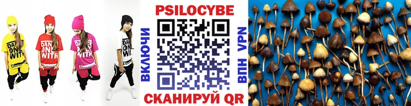 Псилоцибиновые грибы MAGIC MUSHROOMS  гидра вход  Спасск-Дальний 